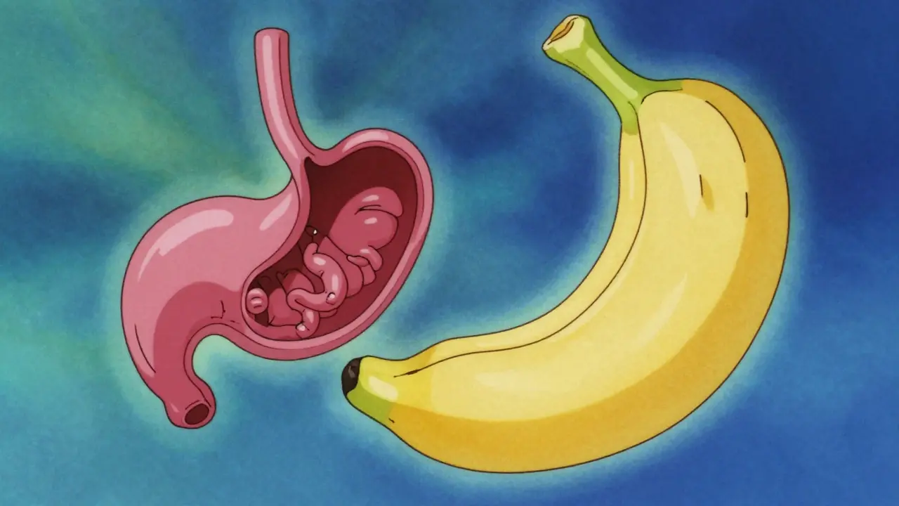 Conceptual view of two stomach surgery structures floating.